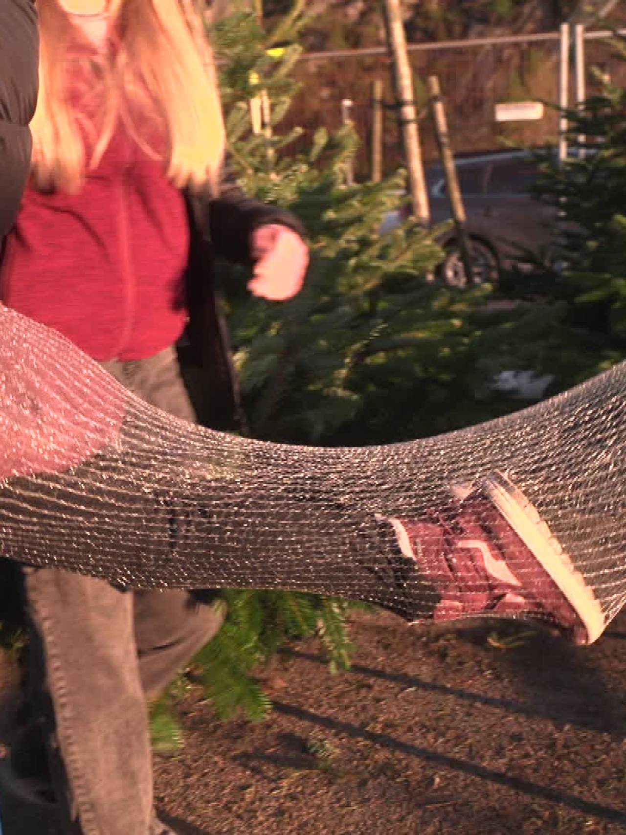 Jente i juletre-nett
