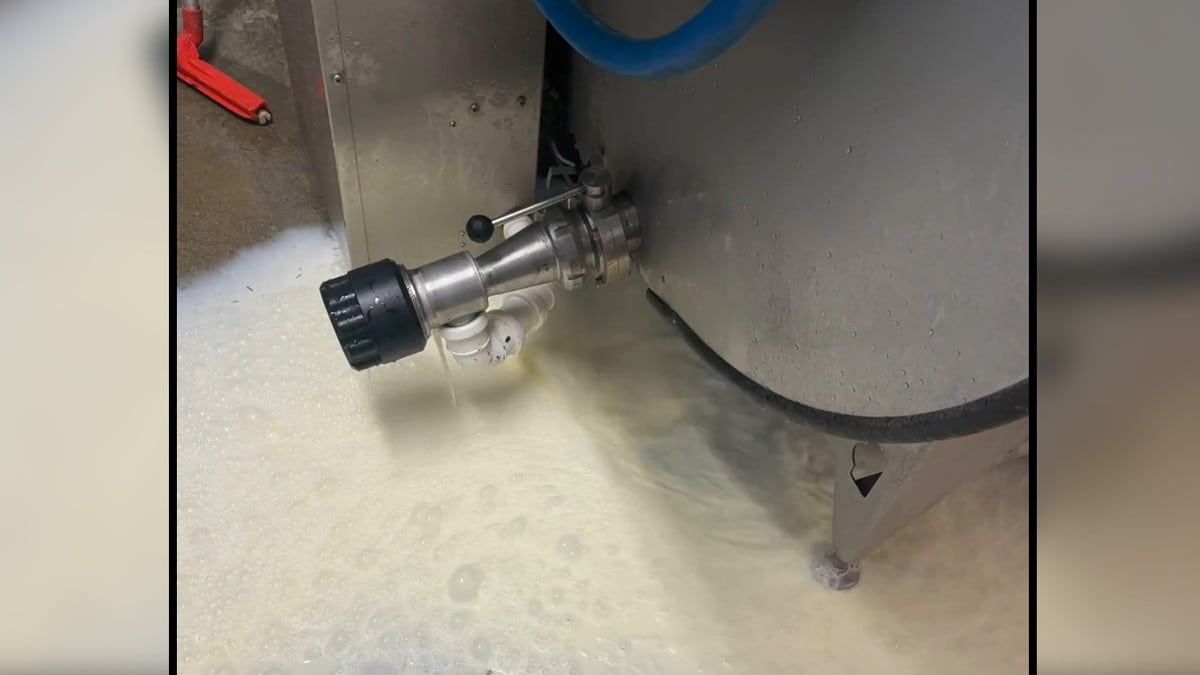 Se video: Bønder måtte tømme ut 7000 liter melk