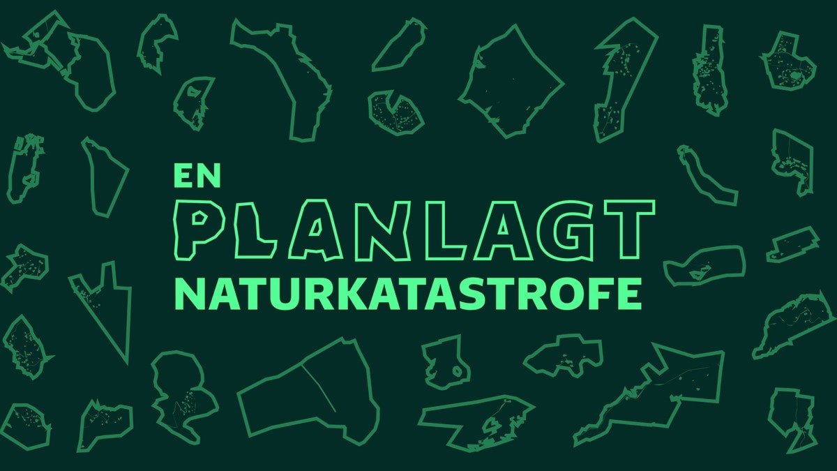 Nye sjokkfunn om norsk natur: Her er naturen vi planlegger å ofre