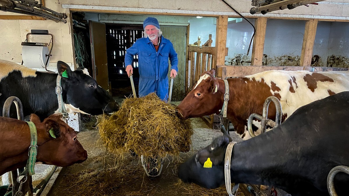 Slutter å tappe økomelk i Nord-Norge – blandes inn i vanlig melk
