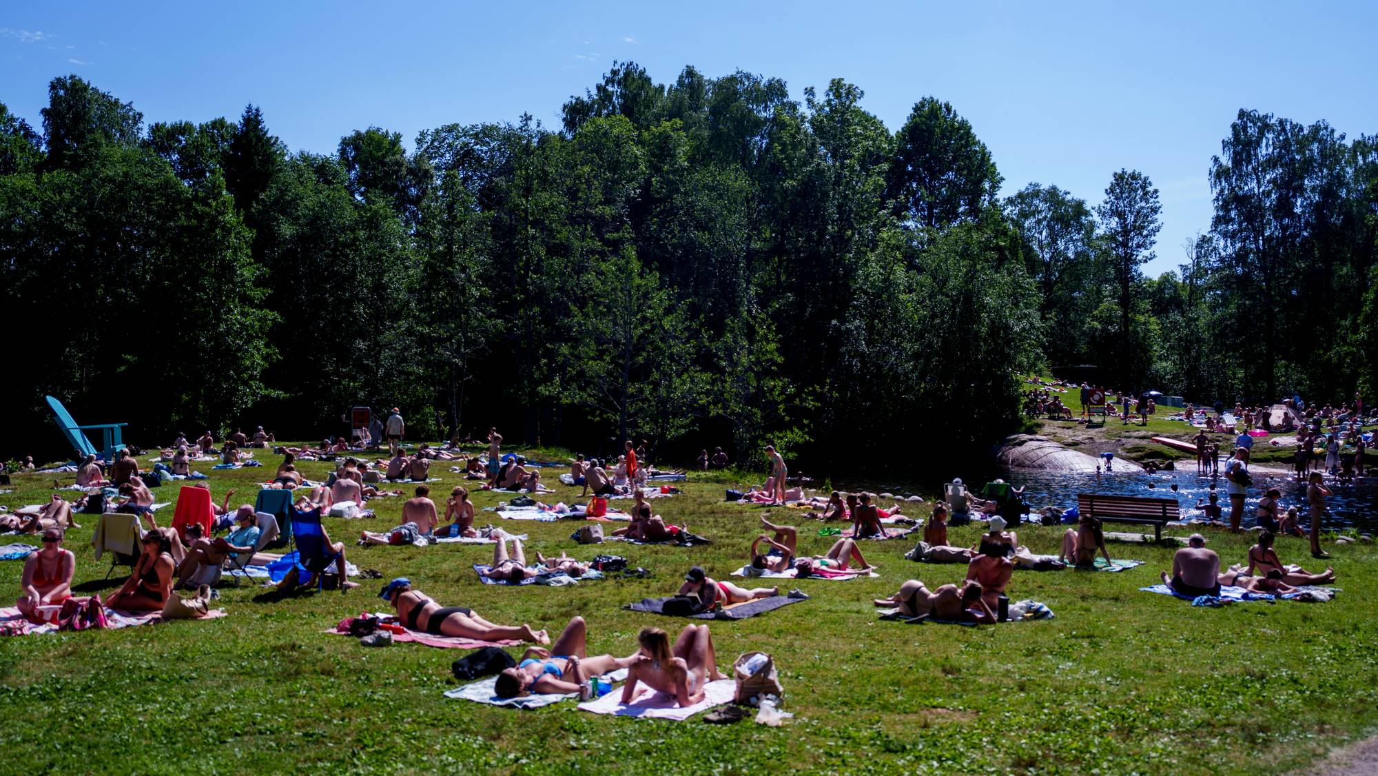 Folk soler seg på en gressplen ved et vann på en solfylt sommerdag. (Bildebeskrivelsen er laget av en KI-tjeneste)