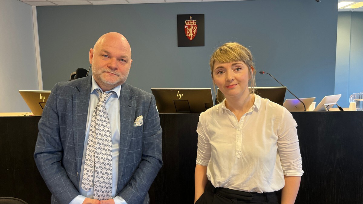 De sakkyndige mener faren ikke var syk da han mishandlet sønnen