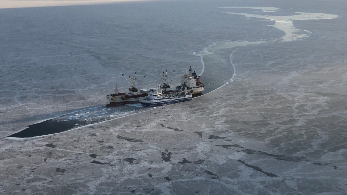 Satellittspor avslører russisk fiskemottak på Svalbard