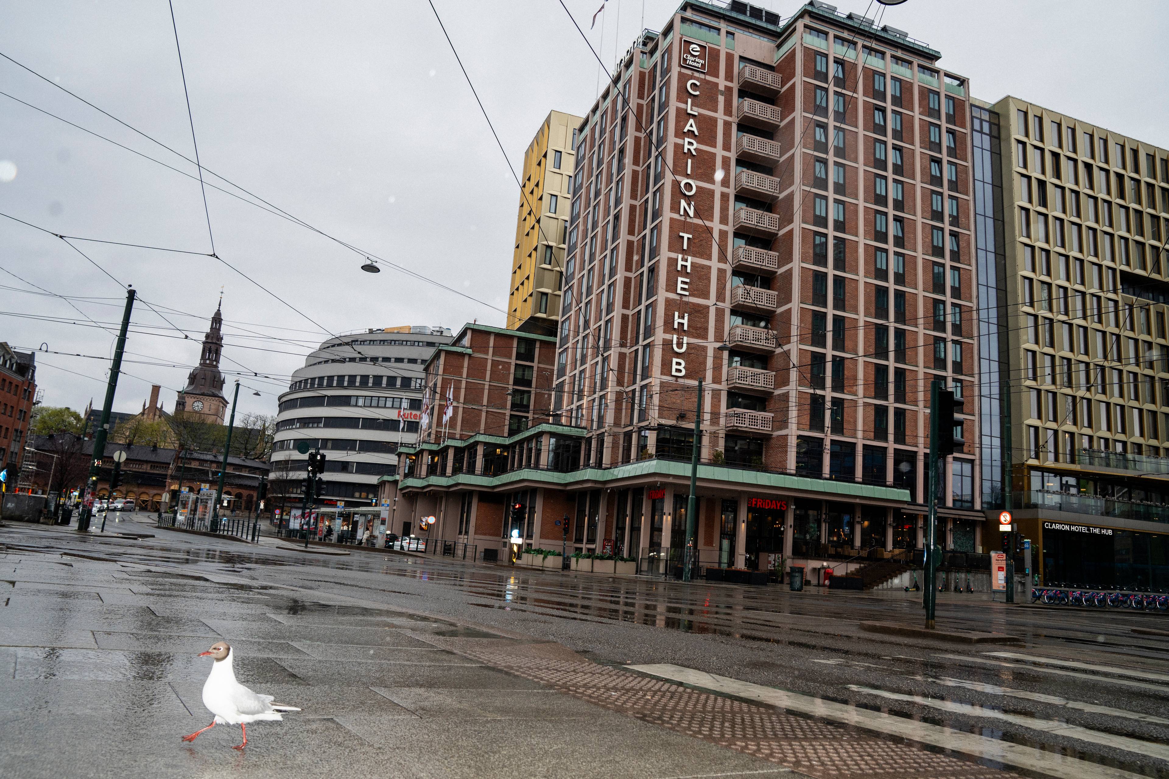 Et måke går på et vått fortau i Oslo. I bakgrunnen er hotellene Clarion The Hub og et annet moderne bygg. En kirkespire er synlig i det fjerne. Været er overskyet. (Bildebeskrivelsen er laget av en KI-tjeneste)