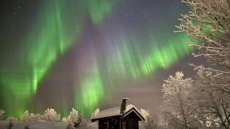 Nordlyset lyser opp nattehimmelen med grønne og lilla farger. I forgrunnen står en liten hytte omgitt av snødekte trær. Den klare stjernehimmelen er synlig over landskapet. Området har typiske vinterforhold med snø og frost.