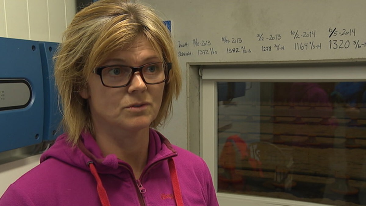 fakta om hedmark mann søker mann fakta om hedmark mann søker mann