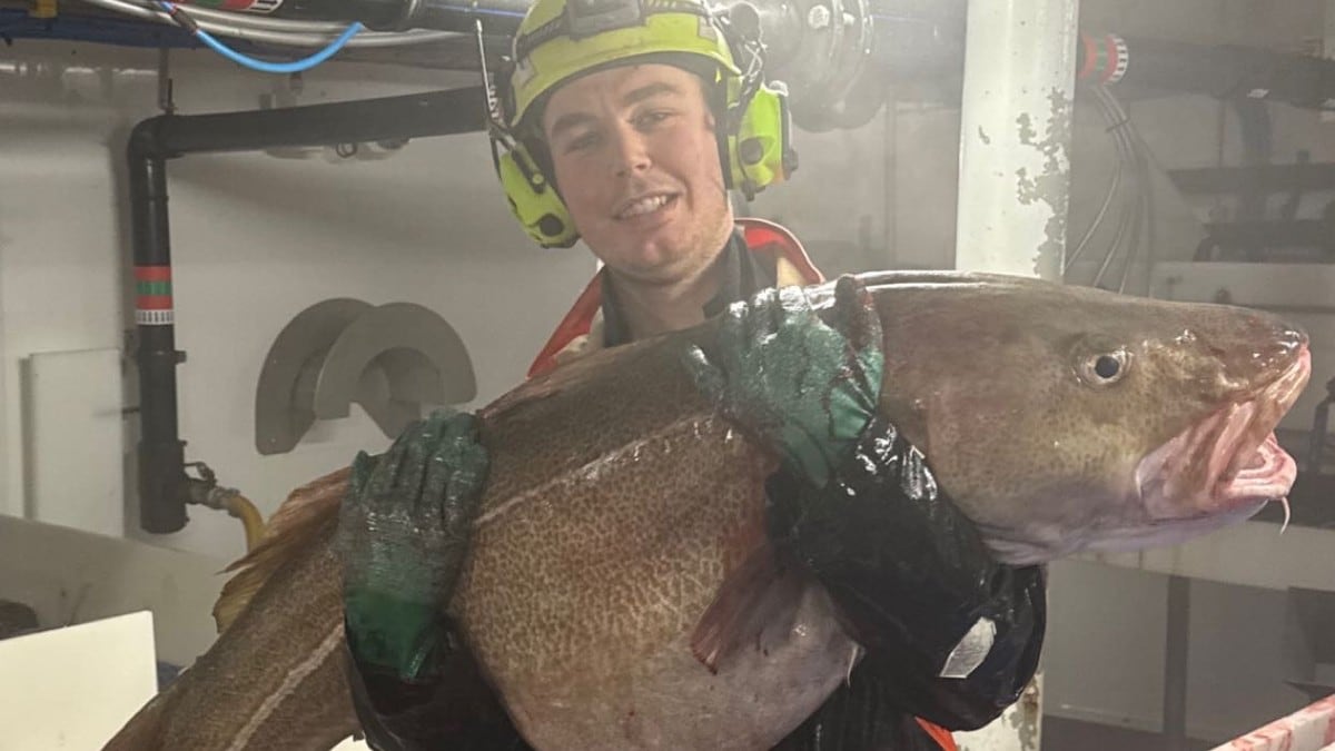 Knuste den magiske grensa: Historisk monsterfangst på 52 kilo