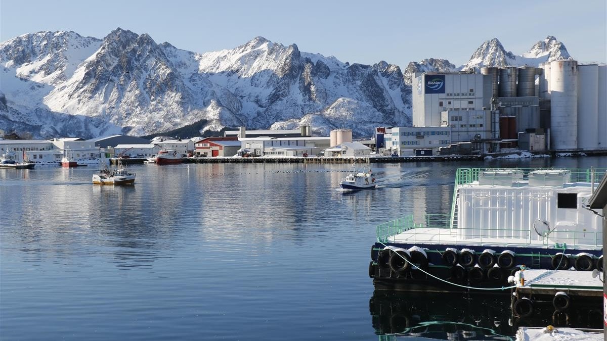 Fiskerihub f&aring;r 500.000 kroner i st&oslash;tte: &ndash; Gir bedriftene et felles l&oslash;ft