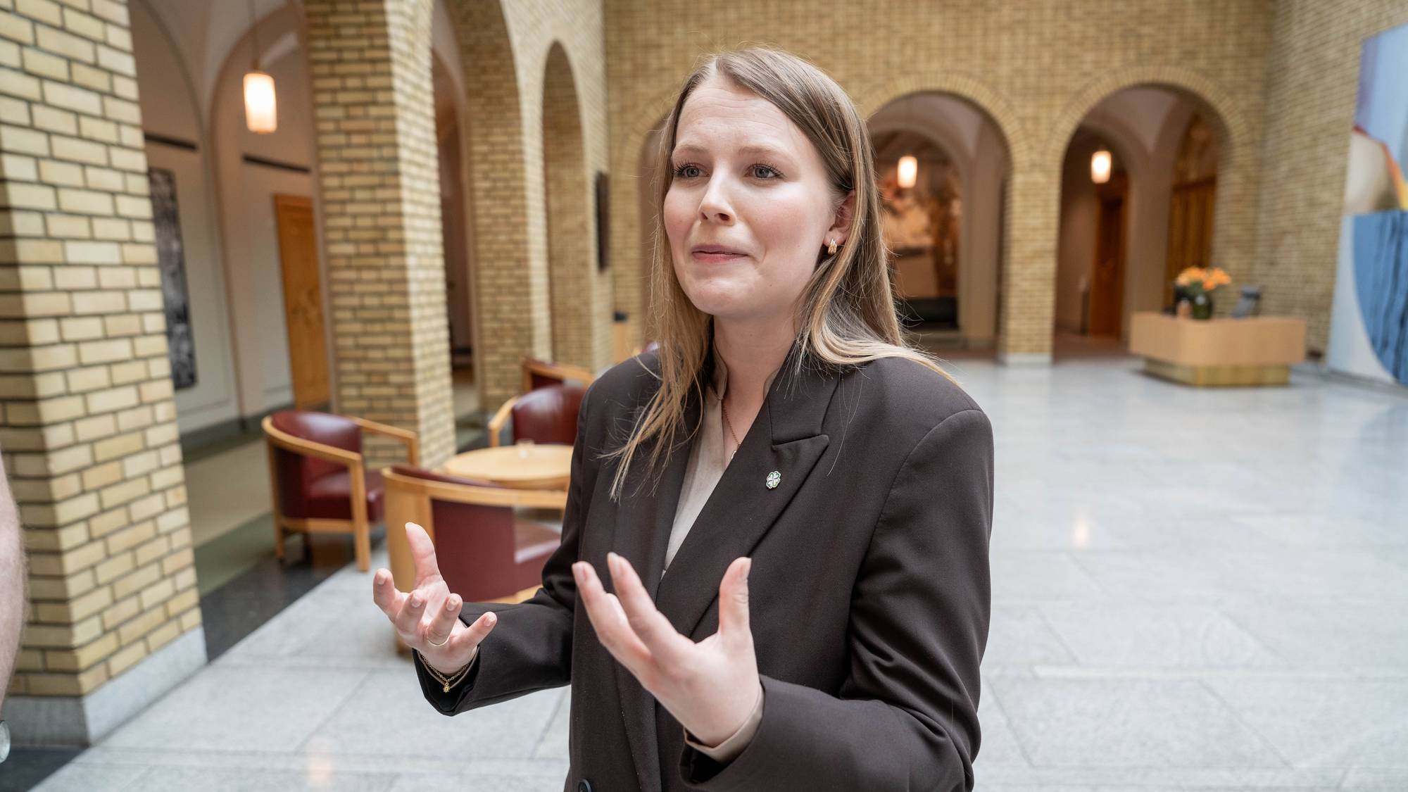 stortingsrepresentant i Senterpartiet for Maren Grøthe.