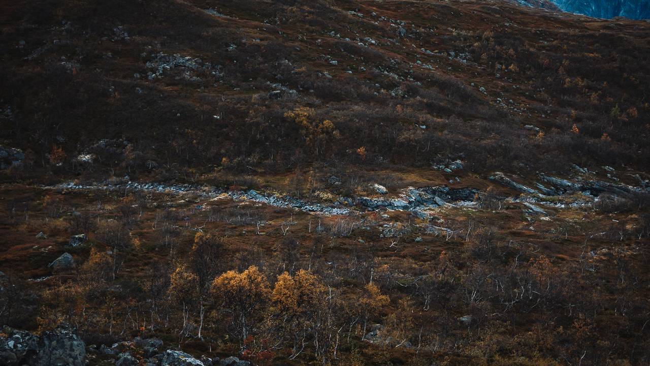 Og slik fortsetter det flere kilometer nedover fjellsiden.