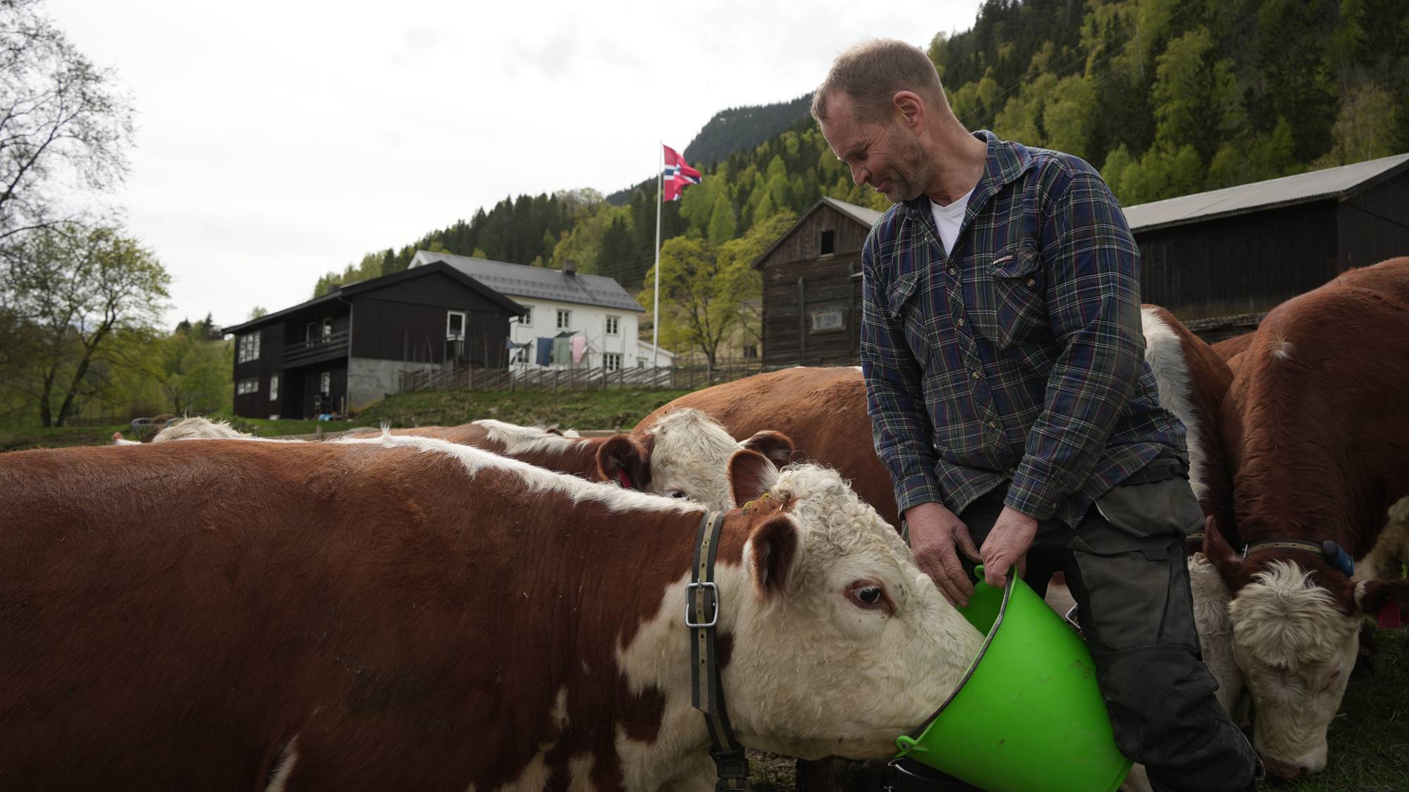 Bonde i Fåvang