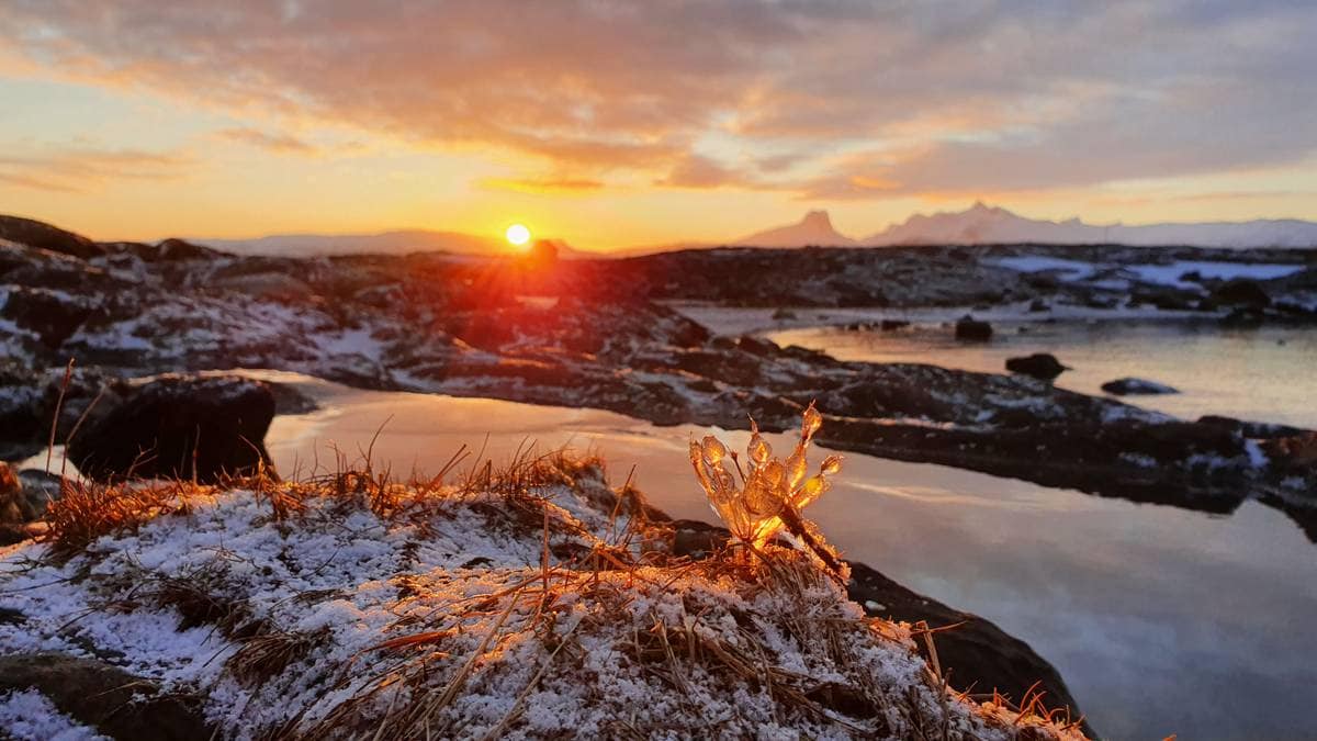 Mørketiden er over – Siste nytt – NRK