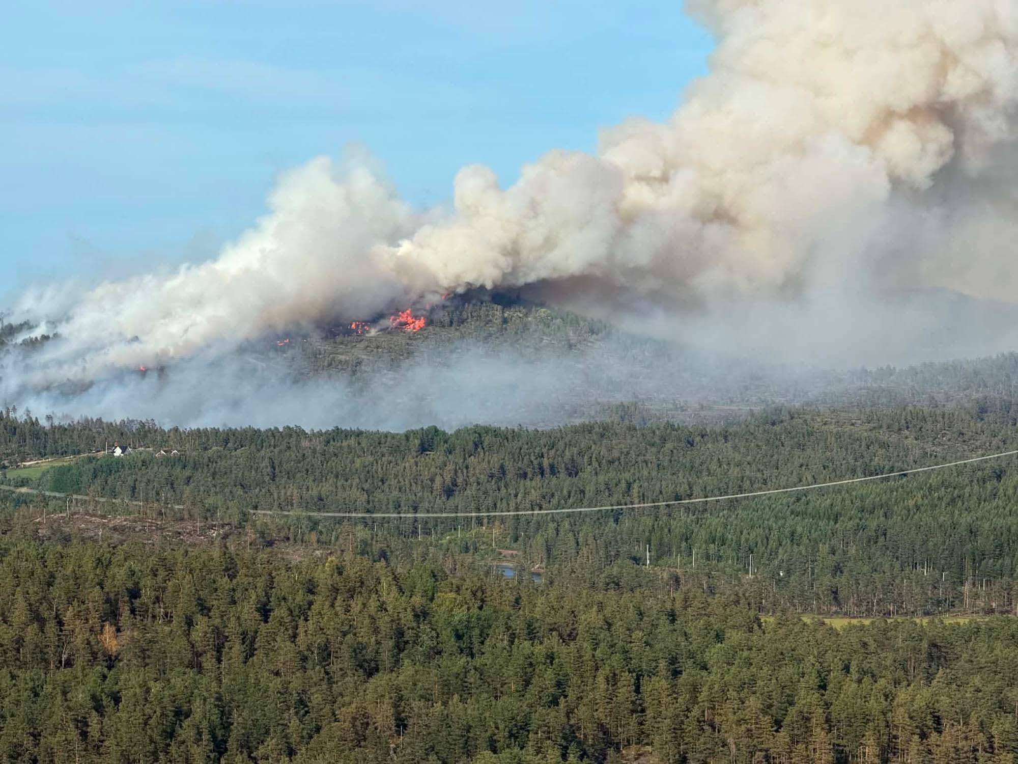 skogsområde i brann med flammer og røyk
