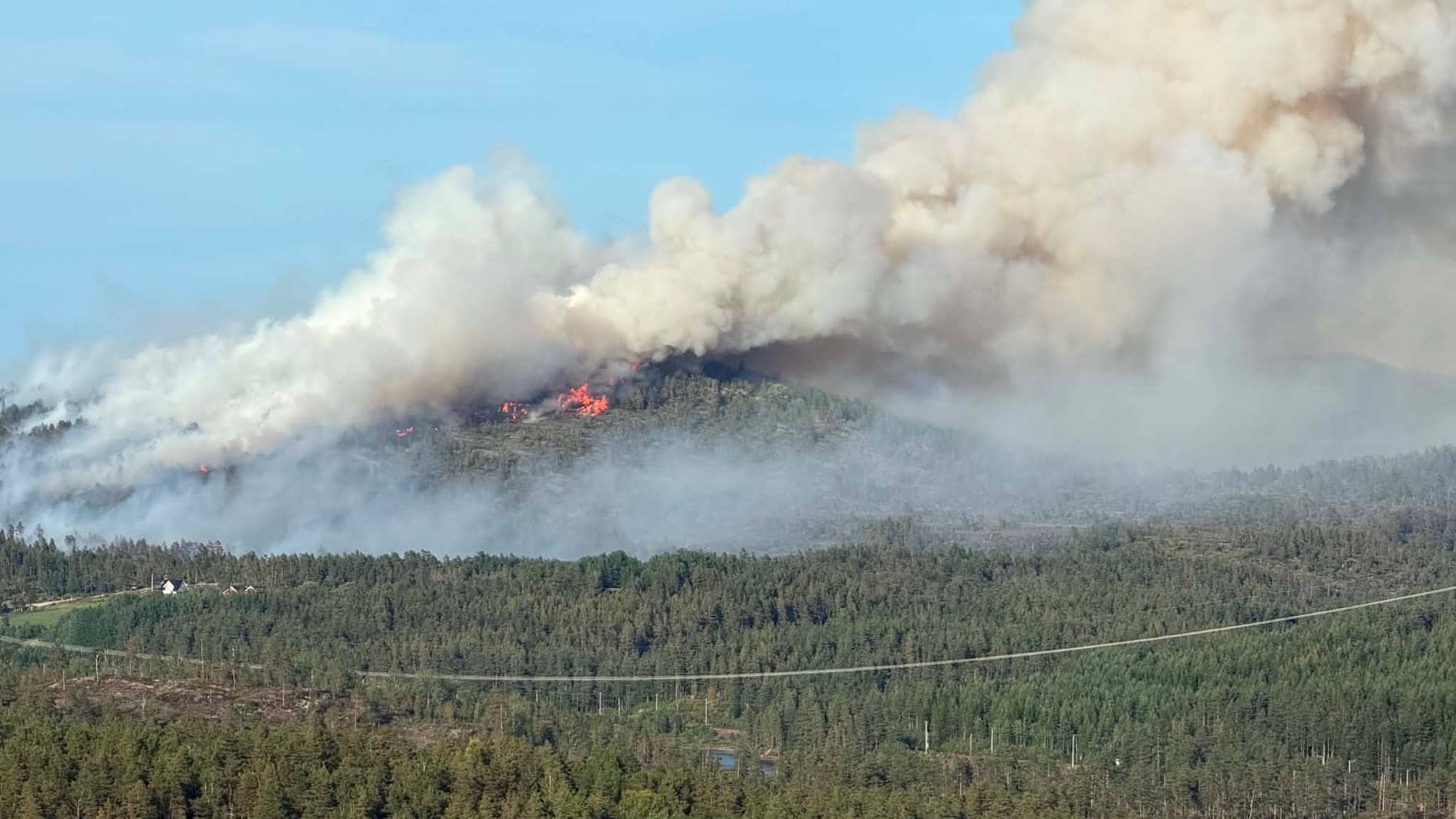 skogsområde i brann med flammer og røyk