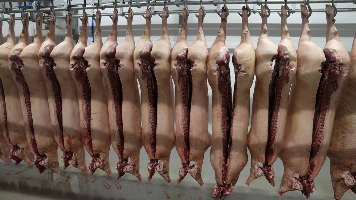 Svinekjøtt inneholder mindre fett