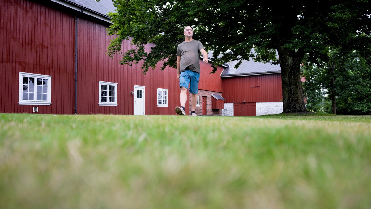 Spår god kornhøst – bondelagsleder vil ha mer variert vær