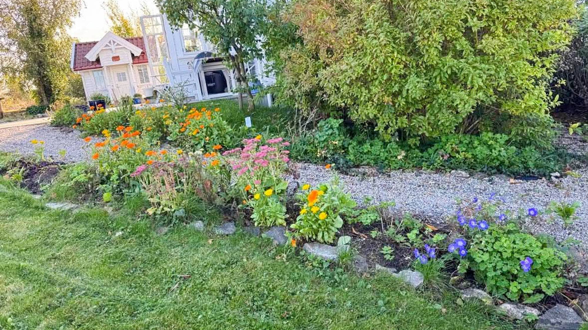 En hage på Sørlandet i full blomst i oktober