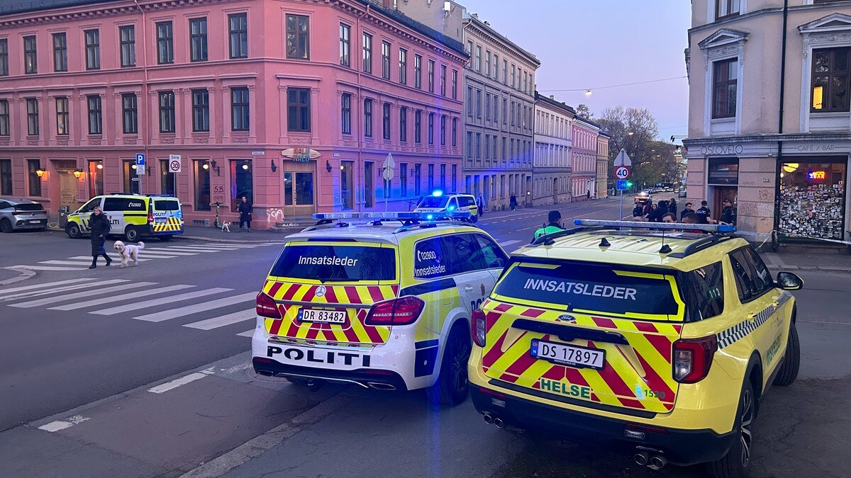 Politiet har tatt kontroll på to personer etter knivstikking i Oslo