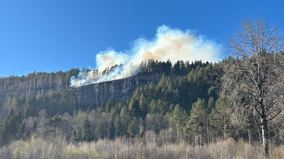 Terreng­brann ved Holmeid­stranda i Tingvoll – brann­vesenet har ikkje kontroll