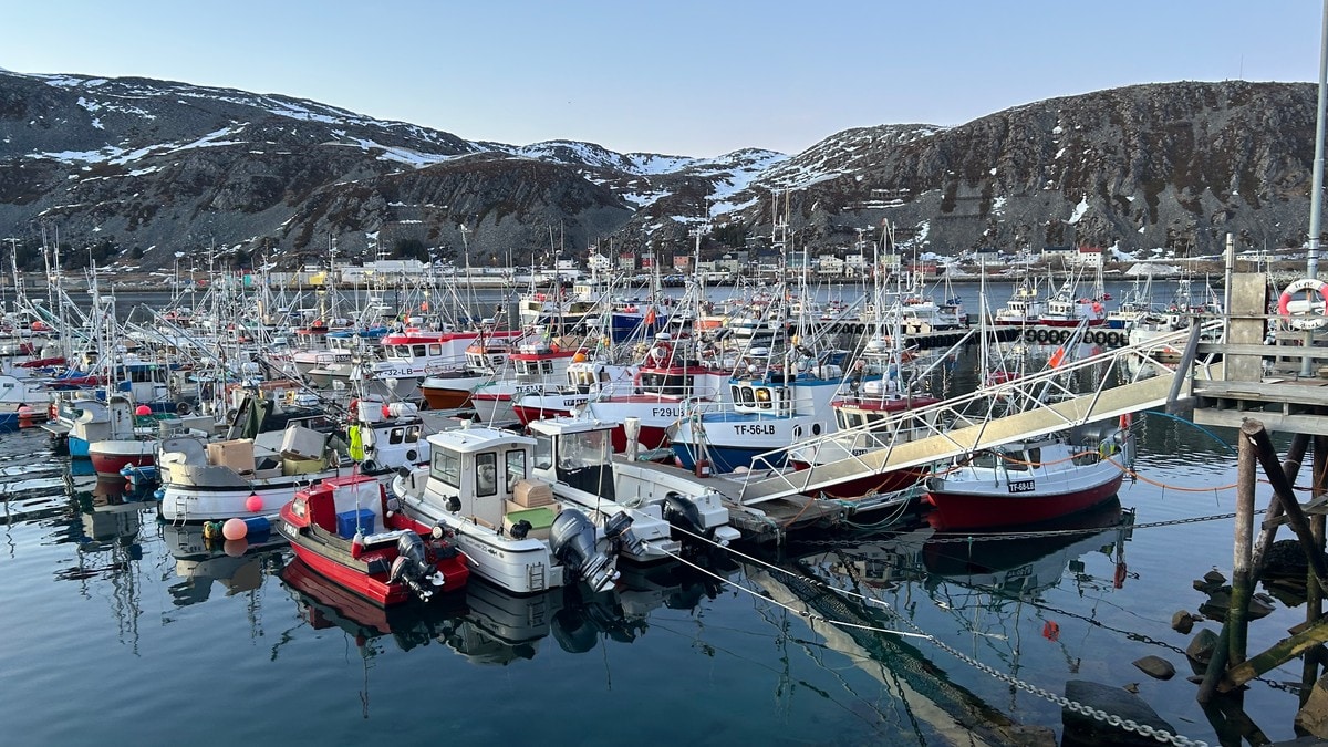 Omsatte for 736 millioner