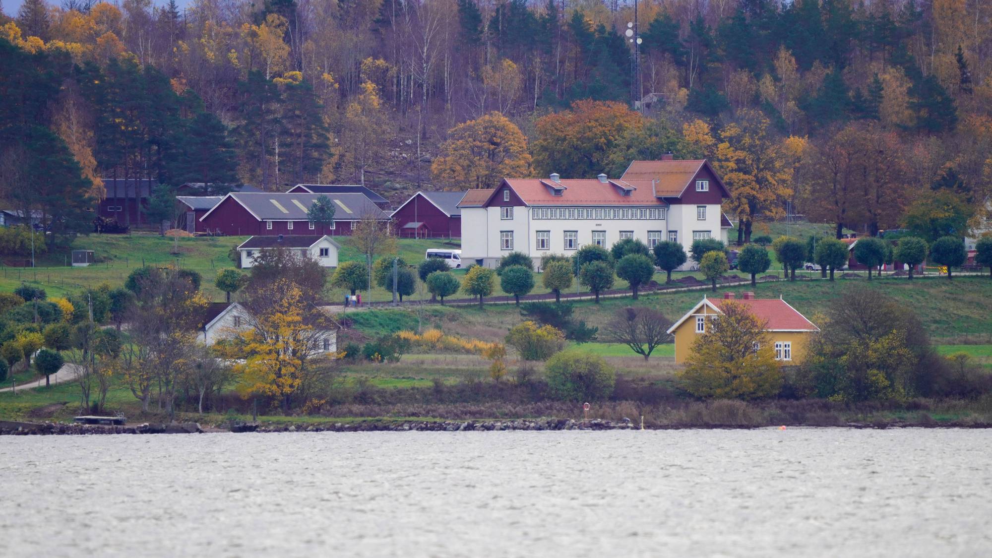Hus, trær og gress ved vannkanten. 