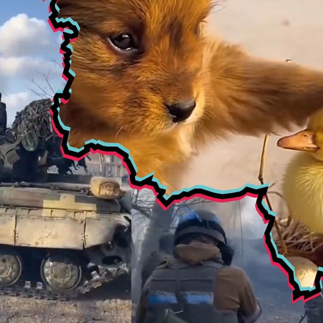 Grafikk med bilde av stridsvogn og soldater på ukrainsk side av grensen, hund og and på russisk side
