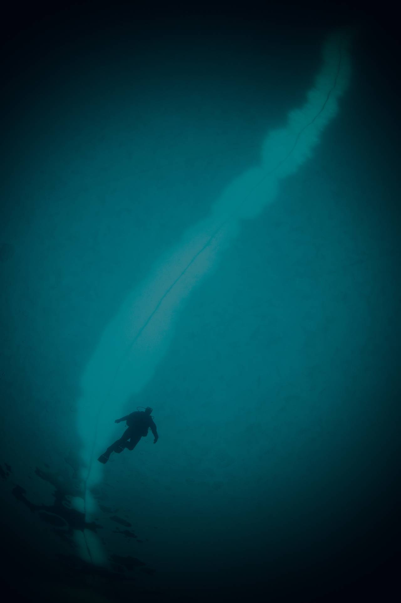 En dykker som svart silhuett under blå is i Antarktis
