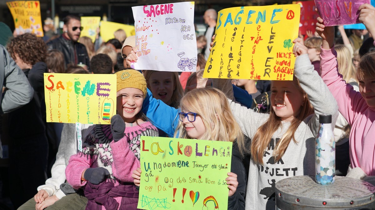 Omstridt skoleplan vedtatt – kan bli stoppet av staten