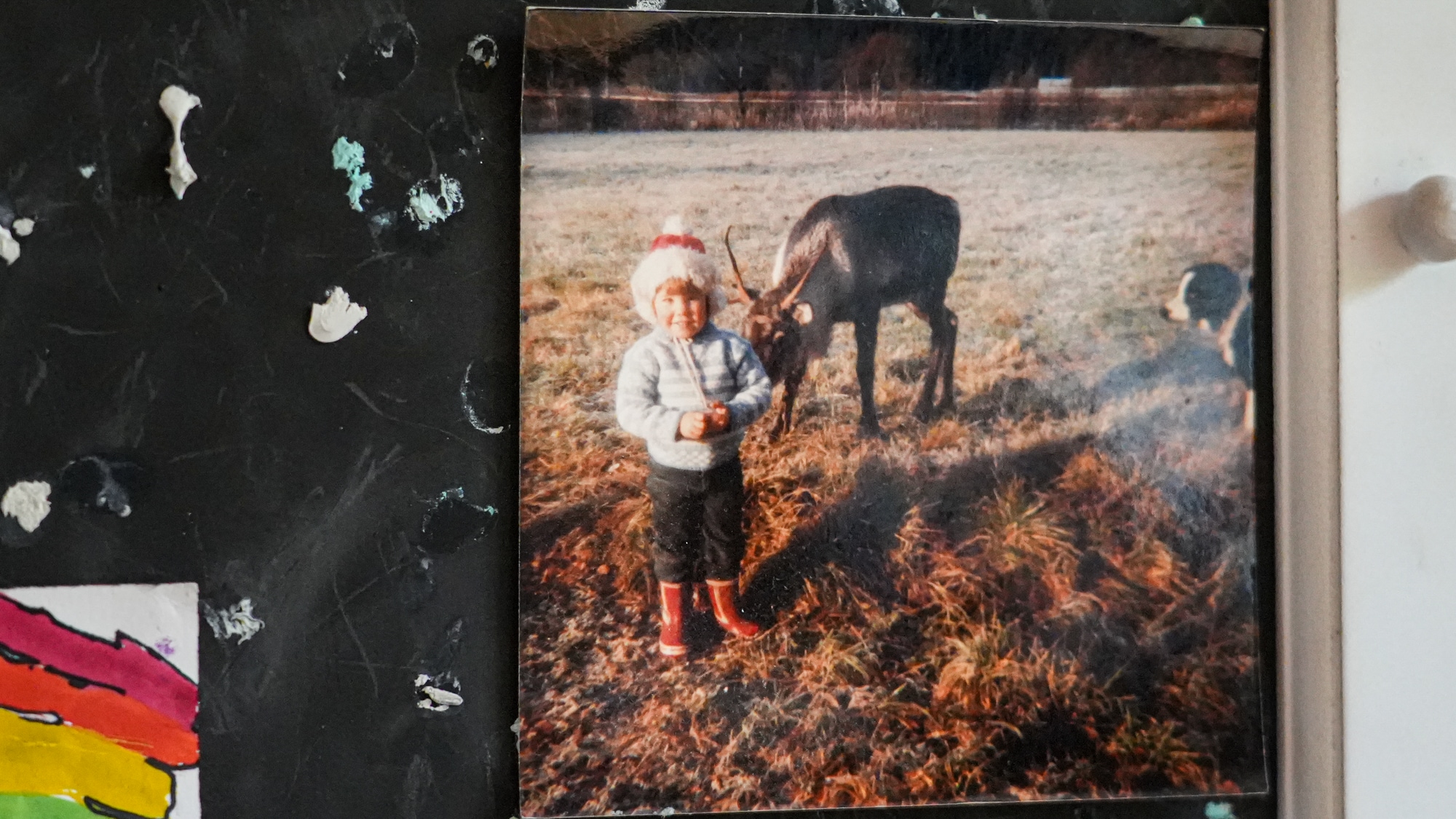 Bilde av en vegg der det henger et bilde av et lite barn som står med en rein