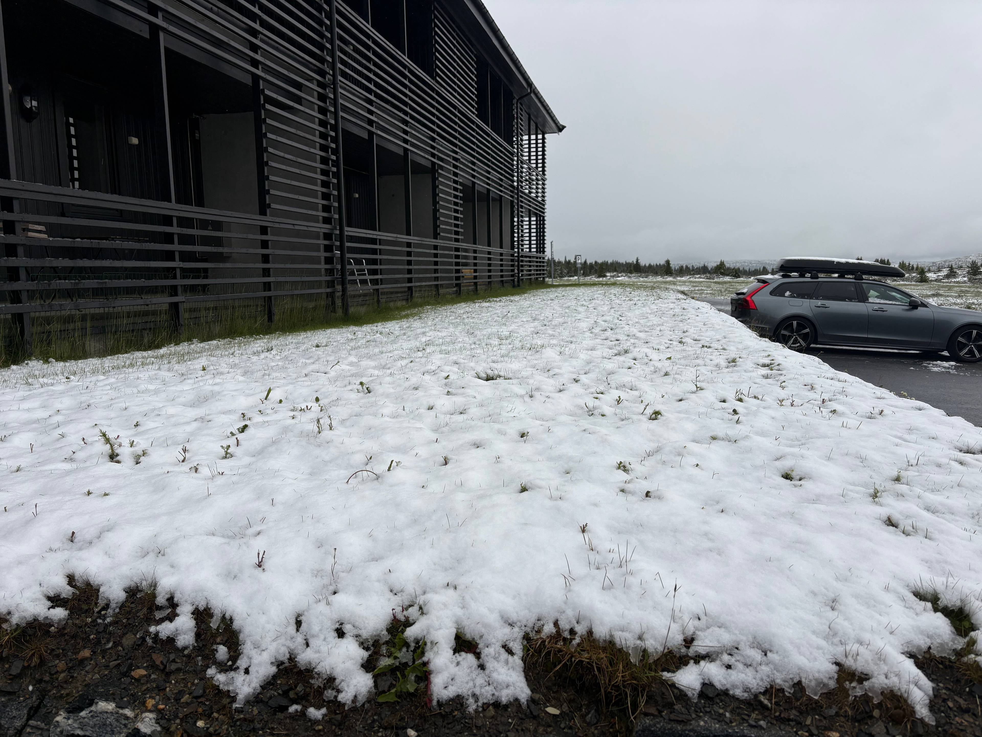 snø på gress
