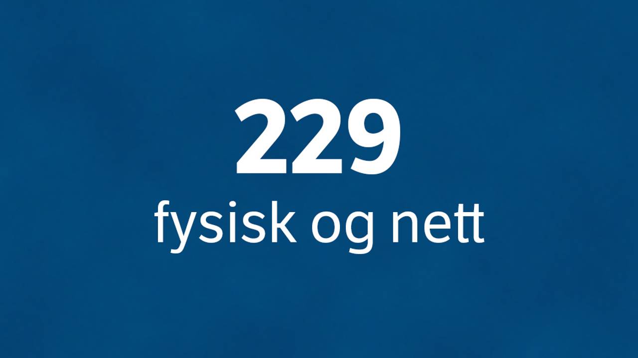 229 fysisk og nett