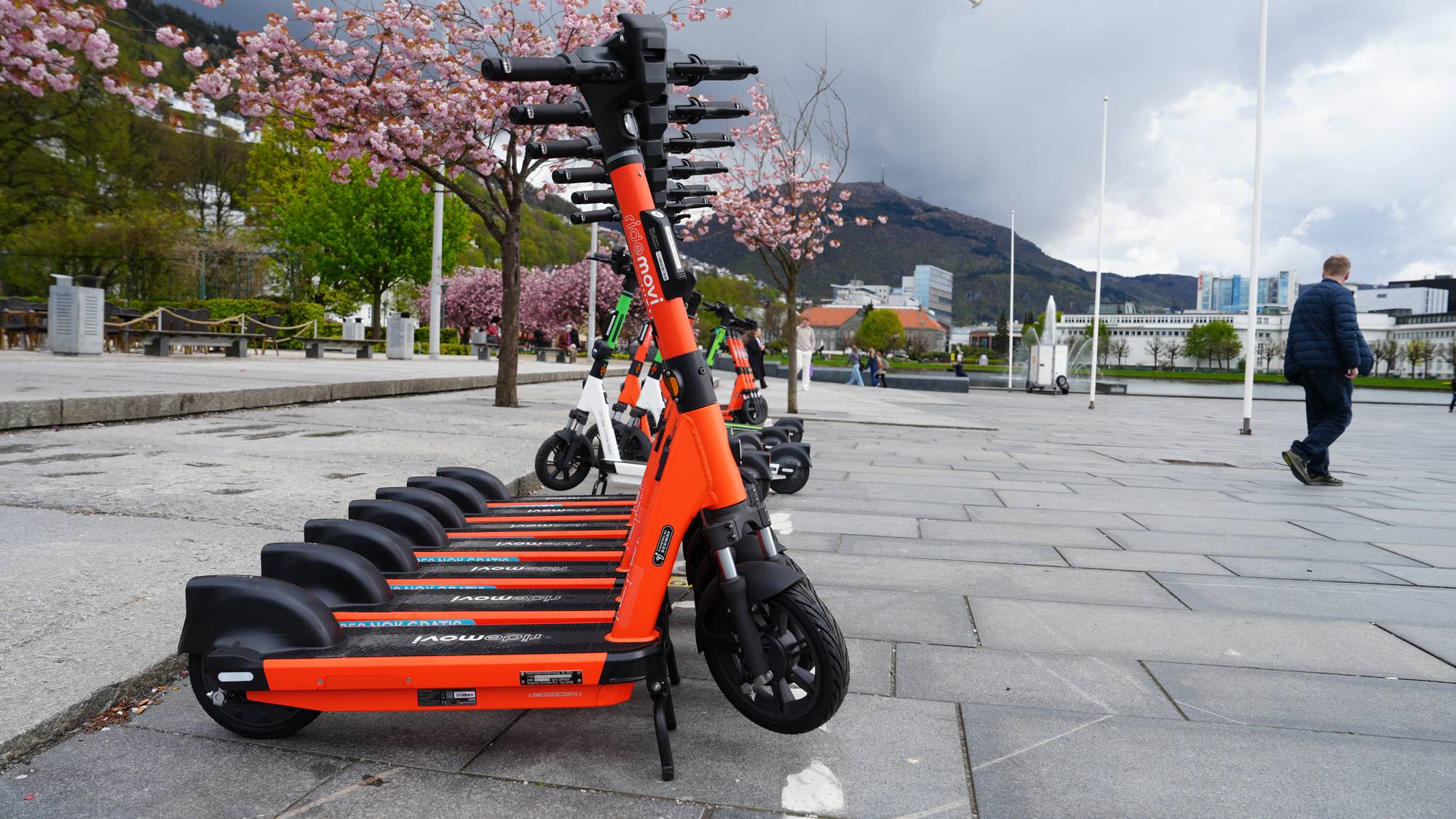 En rad oransje og grønne elektriske sparkesykler står parkert på en brosteinslagt plass. I bakgrunnen går en mann i mørk jakke og jeans forbi. Trær med rosa blomster er synlige til venstre og bak sparkesyklene. (Bildebeskrivelsen er laget av en KI-tjeneste)