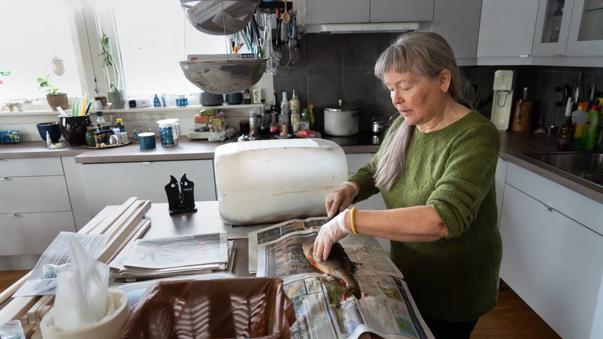 – Vi blir knapt nok tekne fram til festbruk