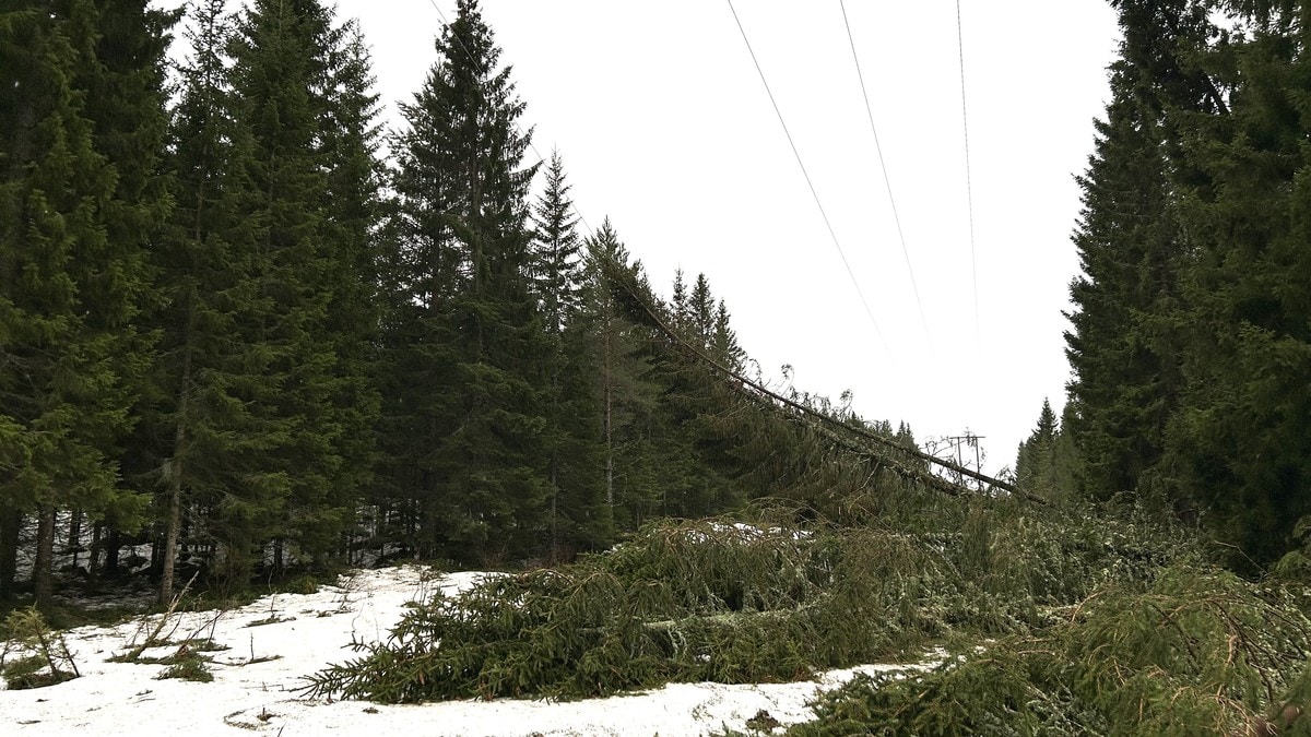 Tusenvis er framleis utan straum: – Fryktar at delar av kommunen er heilt utan kommunikasjon