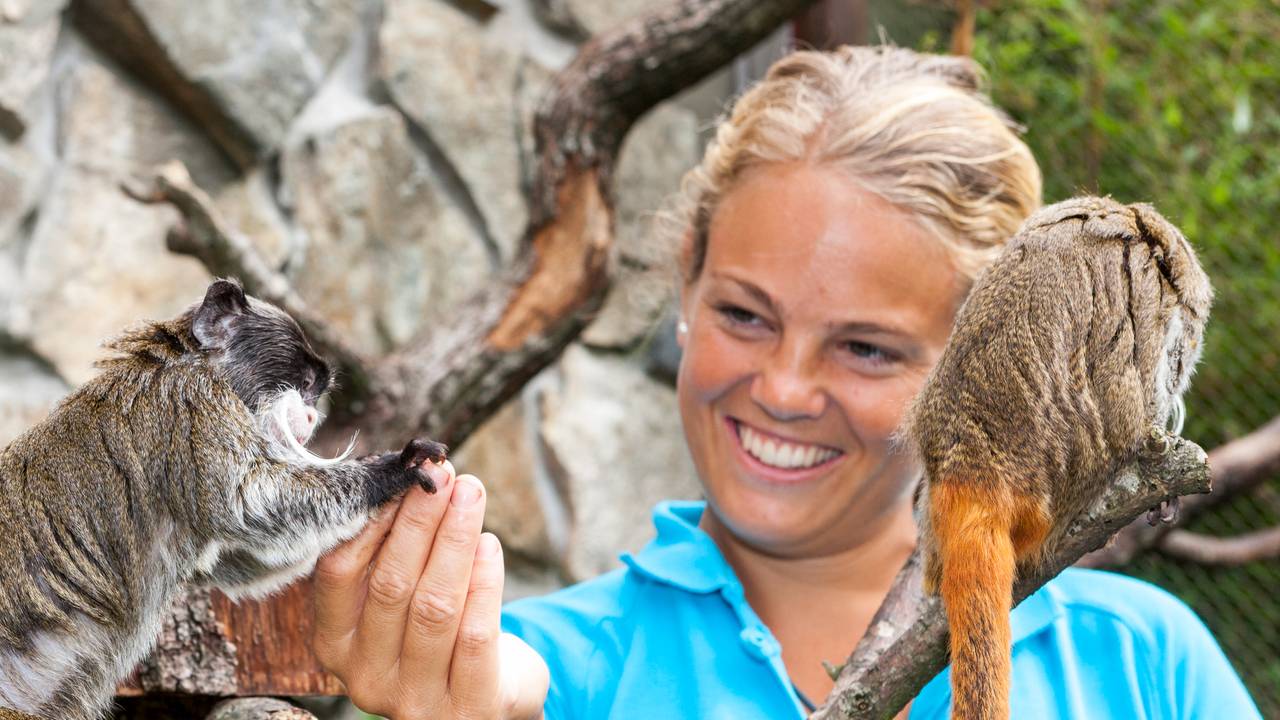 Helene Axelsen Dyreparken