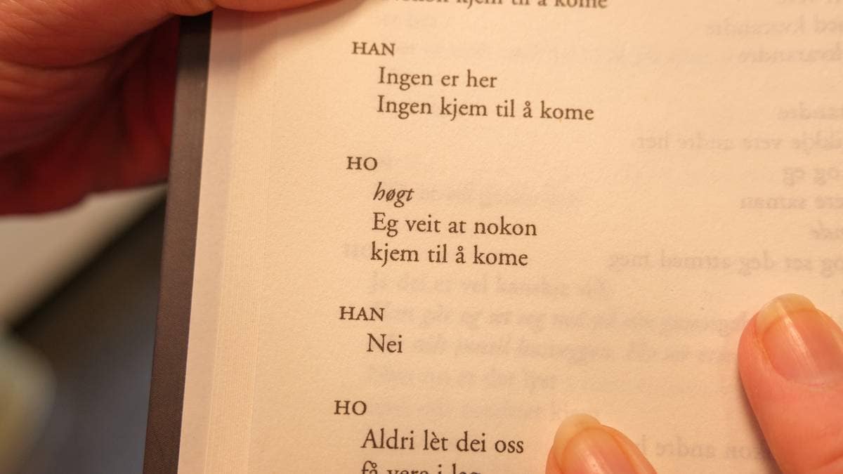Å oversette dette kan være et mareritt