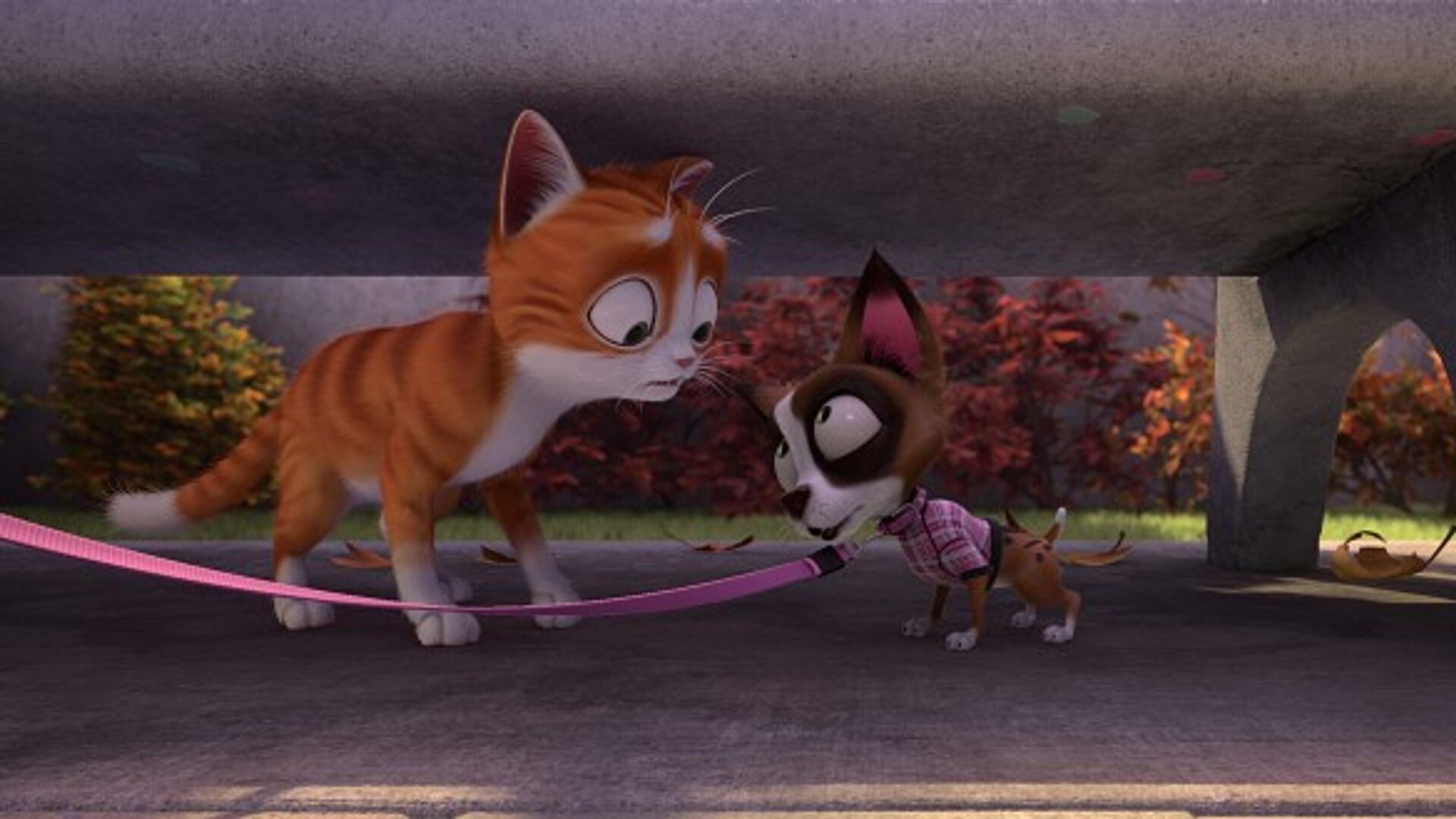 Кот гром и заколдованный дом. Кот гром и заколдованный дом. Том и гром. Кот гром и заколдованный дом (2013). Кот гром и заколдованный дом.