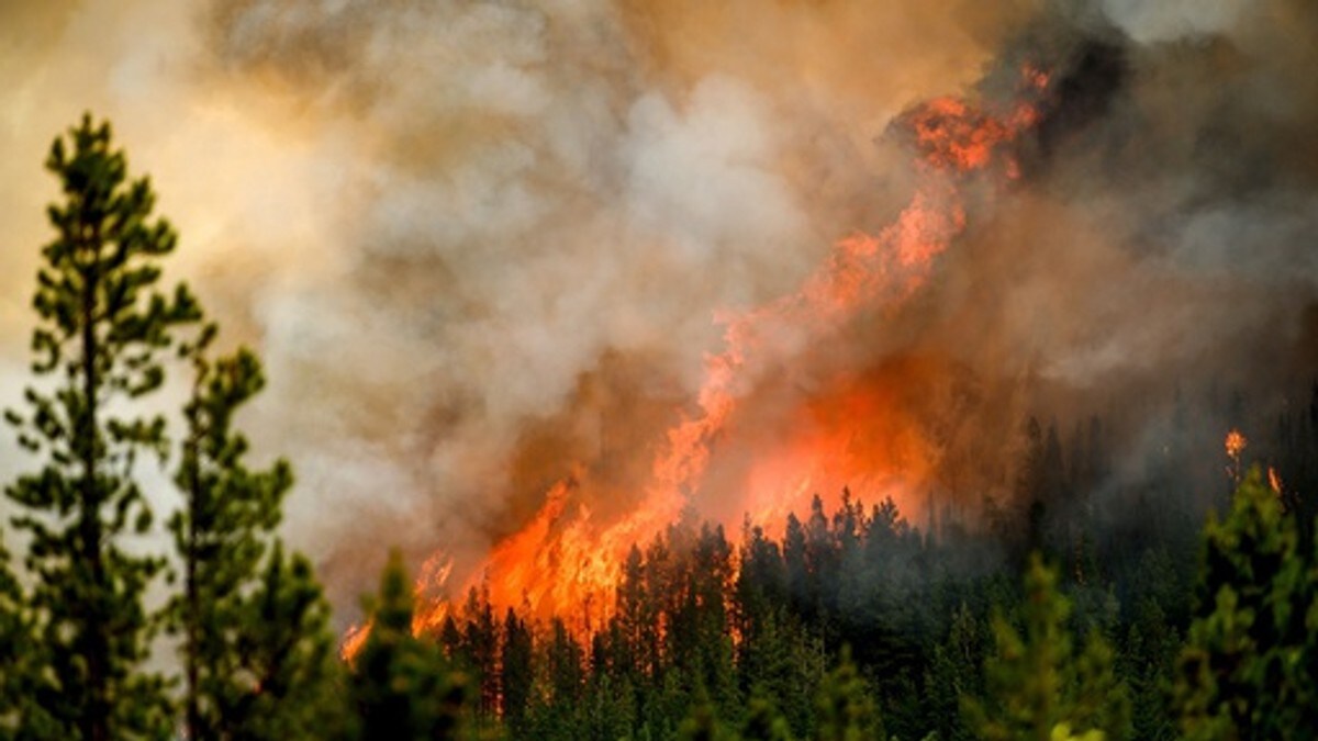 Brannkonstabel (19) mistet livet i skogbrann i Canada