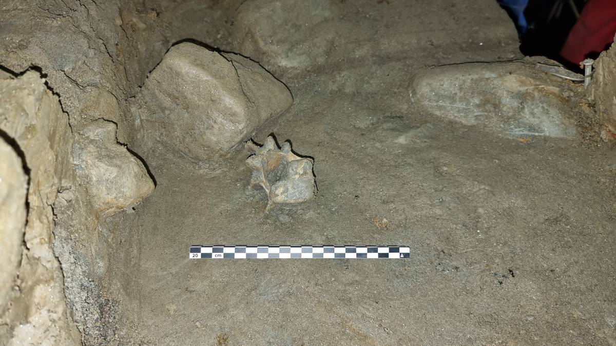 Unike funn i norsk grotte: – Avdekker ting vi aldri før har visst