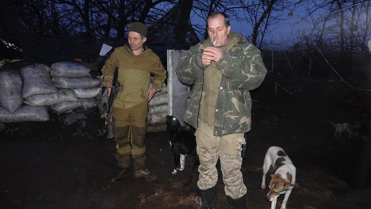 Ett døgn i en ukrainsk skyttergrav