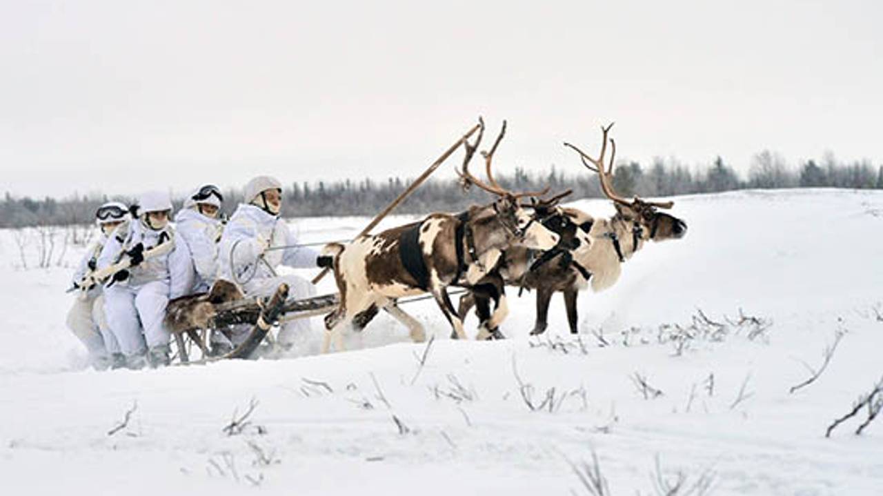 Den arktiske brigaden øver i Lovozero