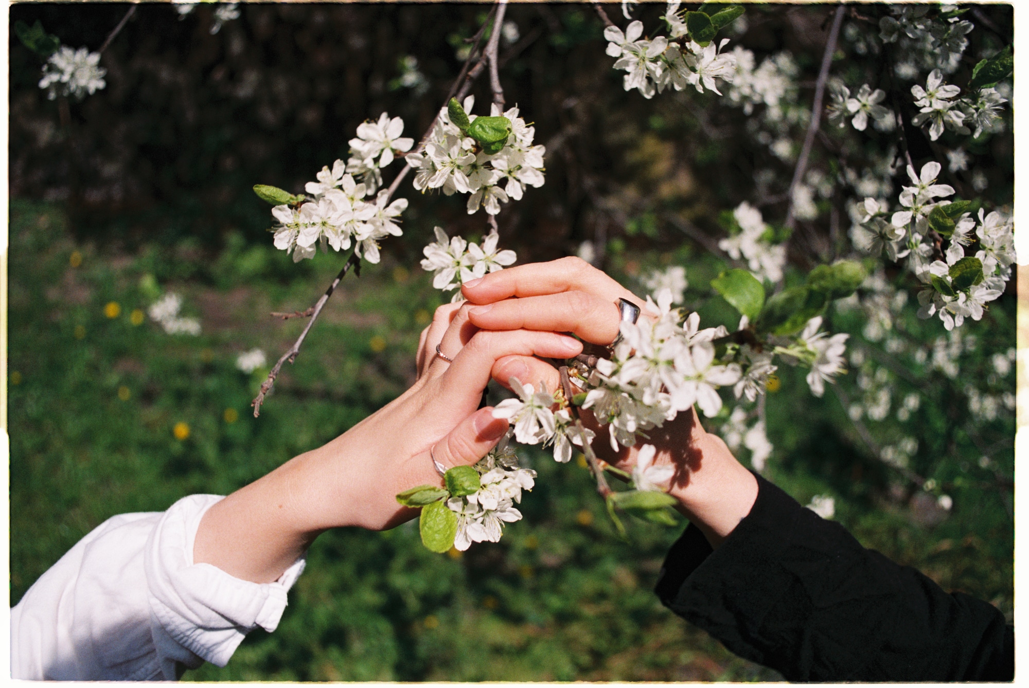 Frida og kjæresten hennes holder hender rundt en blomst.
