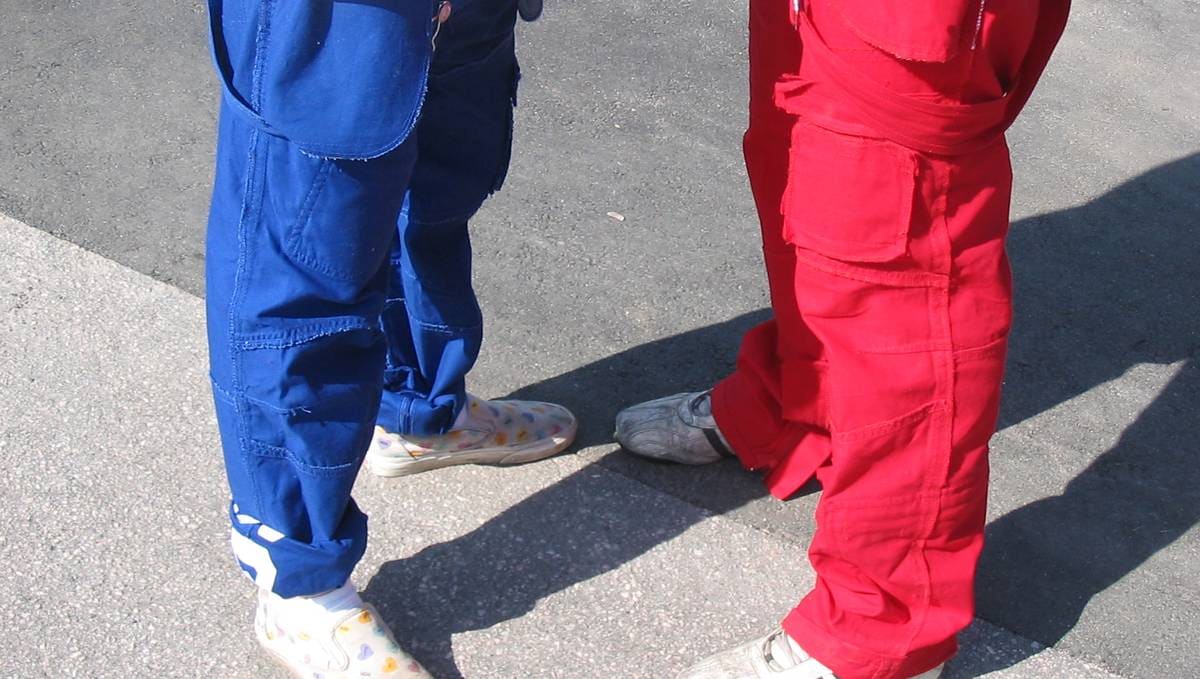 Russefeiringa i Agder starter 13. mai