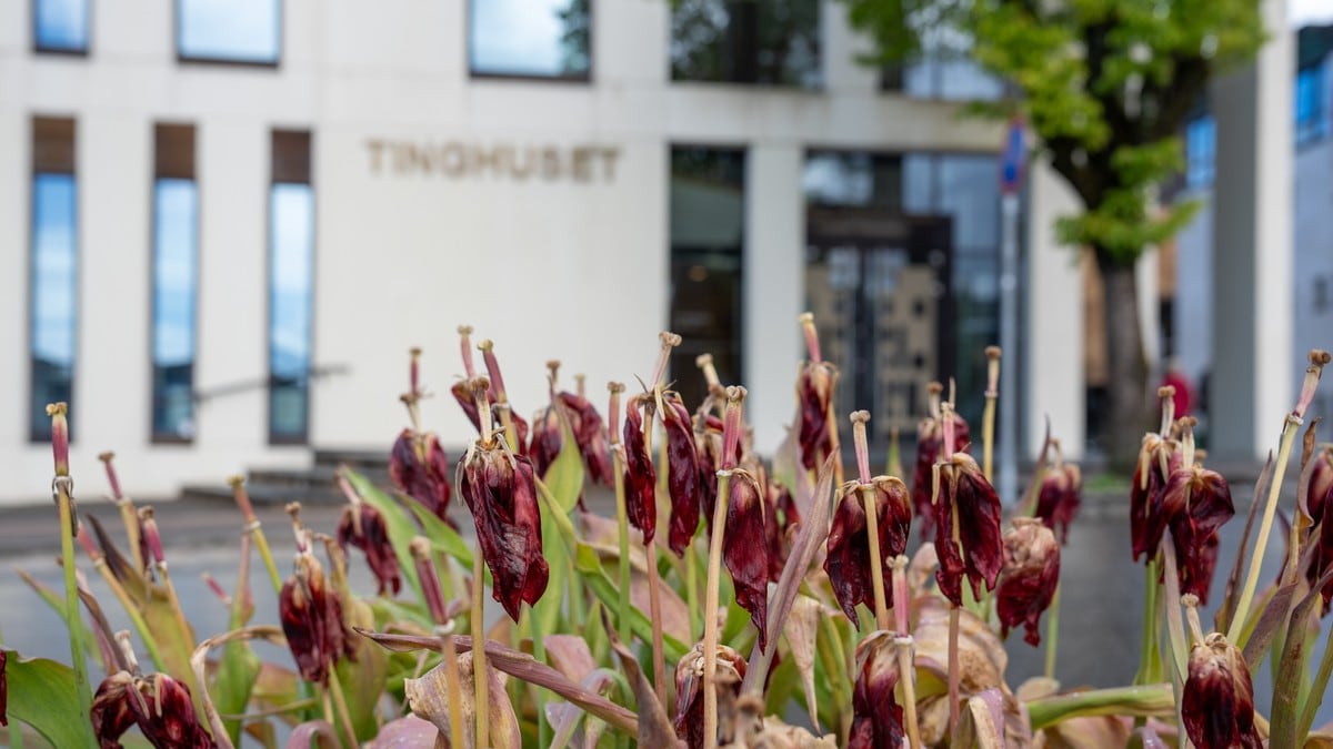 To nye menn dømde til fengsel for overgrep mot ung gut