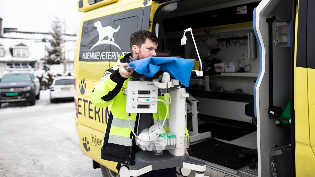 Veterinær gjerdrum