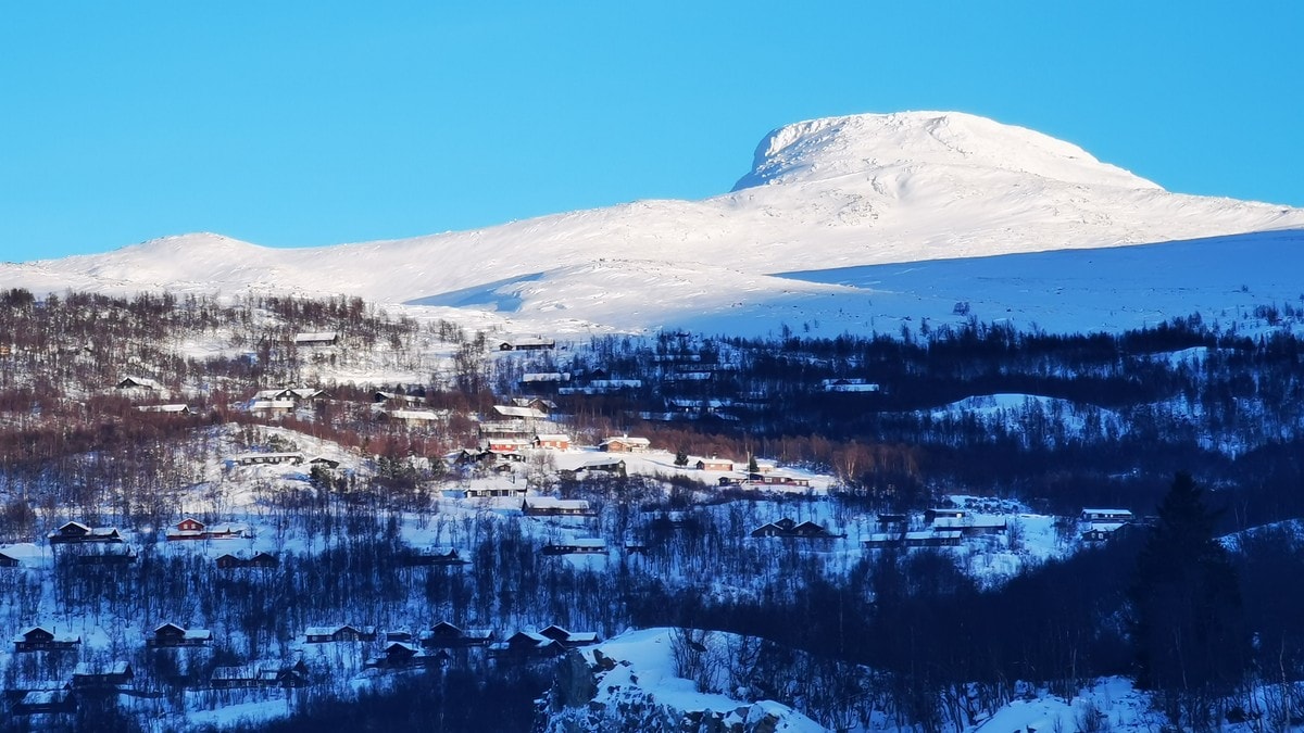 Stor auke i utanlandske hytteeigarar