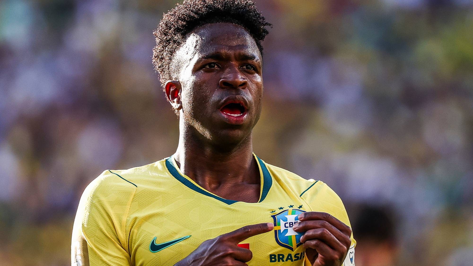 Vini
