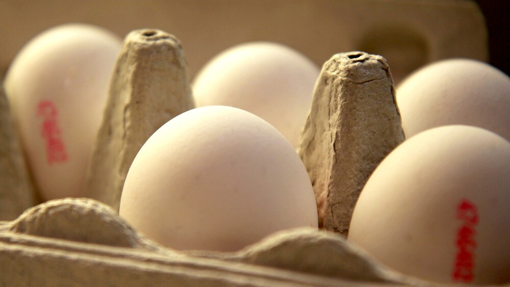 Hvor Lenge Kan Egg Stå I Kjøleskapet