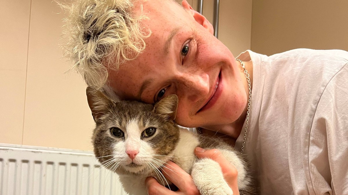 Katt funnet i skorstein på fiskebåt i Barentshavet