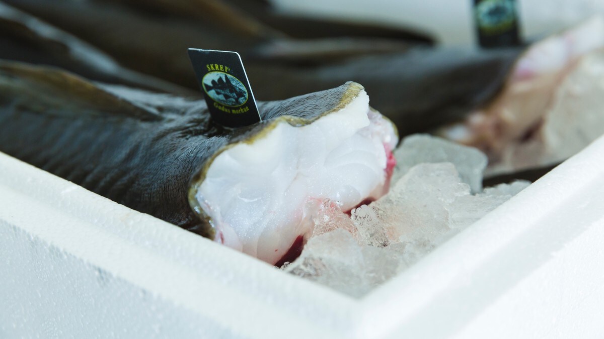 Sliter med å få omsatt skreien – mener fiskerne får for godt betalt